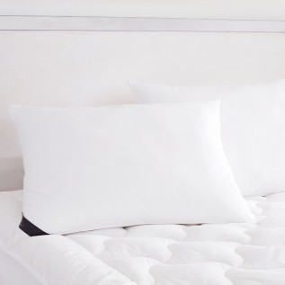 Soft Density Down Alternative Count Cotton 2-Pack Pillow, Standard/Queen