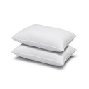 Signature Plush Allergy-Resistant Soft Density Stomach Sleeper Down Alternative Pillow, Standard - Set of 2