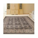 Brown Area Rug Collection