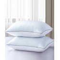 Flipable Summer/Winter White Goose Feather 2-Pack Pillow, Jumbo