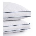 Quilted Feather and Down Gusseted Standard 2 Piece Bed Pillows Set