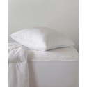 White Down 100% Soft Density Stomach Sleeper Pillow, Standard