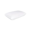 Standard Memory Foam Pillow