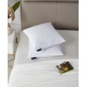 Feather Filled 2-Pack Pillow, 20