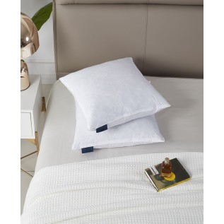 Feather Filled 2-Pack Pillow, 20