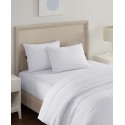 Medium/Firm Pack of 2 Pillow Collection