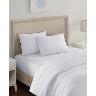 Medium/Firm Pack of 2 Pillow Collection